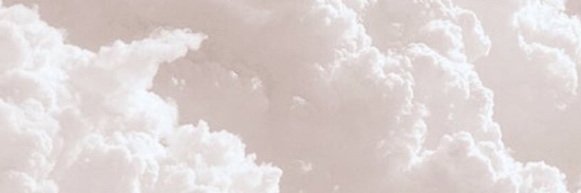 SarahNicoleee_'s profile banner image