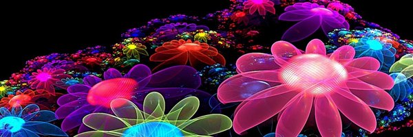 0xBenderBlock Profile Banner