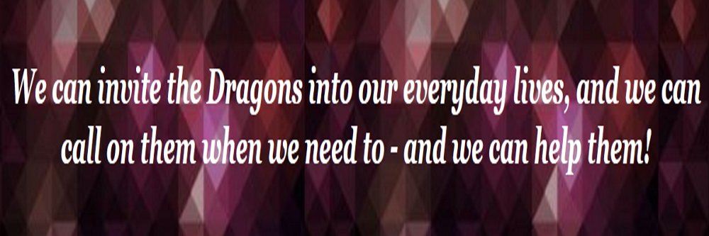 danmaku idiot banner