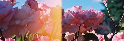ChloeNC123's profile banner image