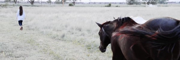 McCall_Money Profile Banner