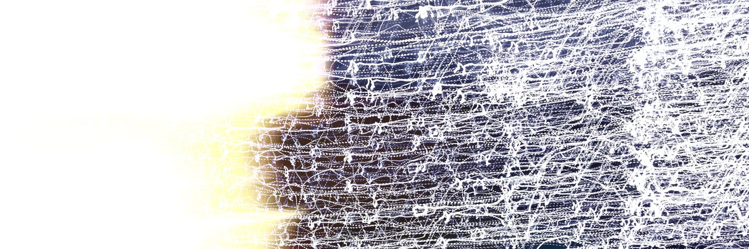 lizardeatsipis's profile banner image