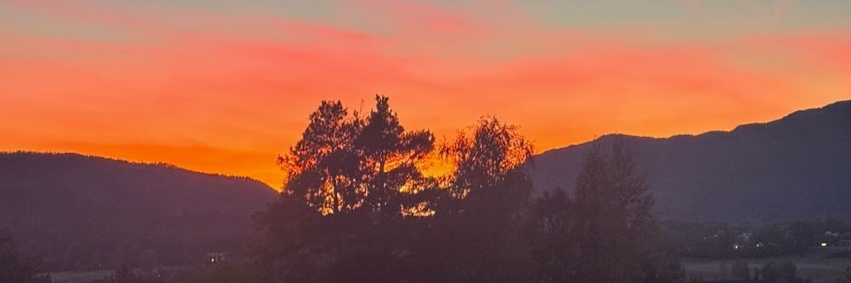 SakuraFrecky's profile banner image