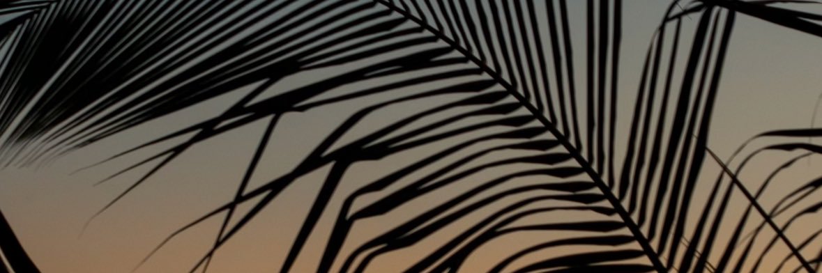 RobinGijon's profile banner image