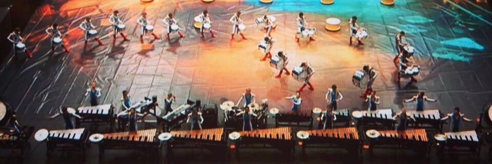 PalmettoPerc's profile banner image