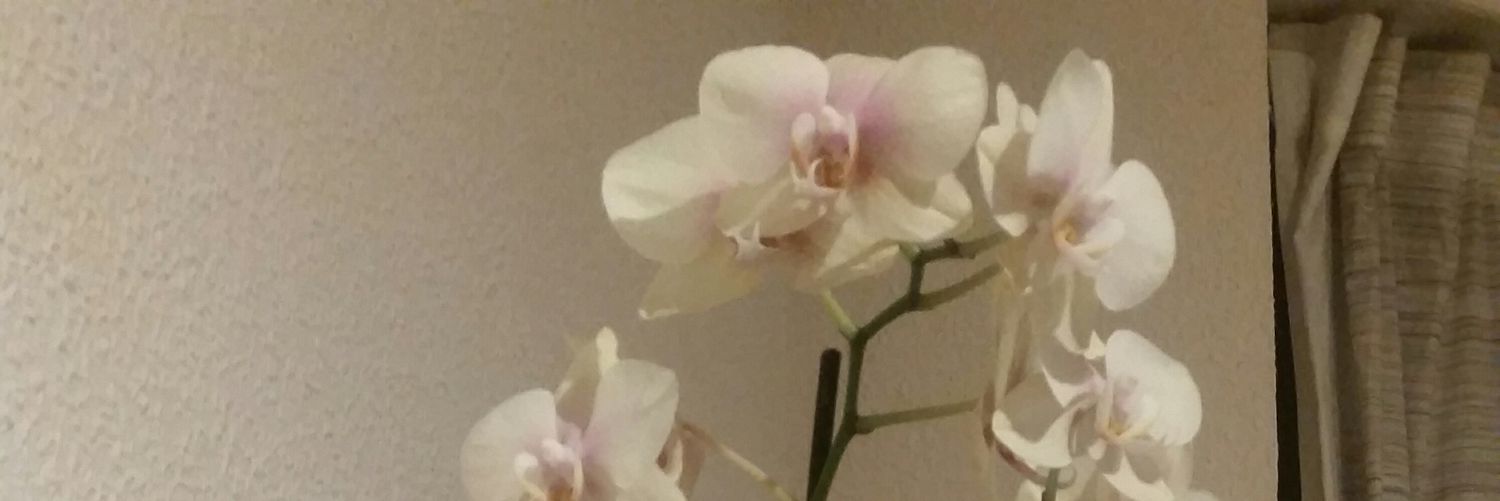 Martaconnect's profile banner image