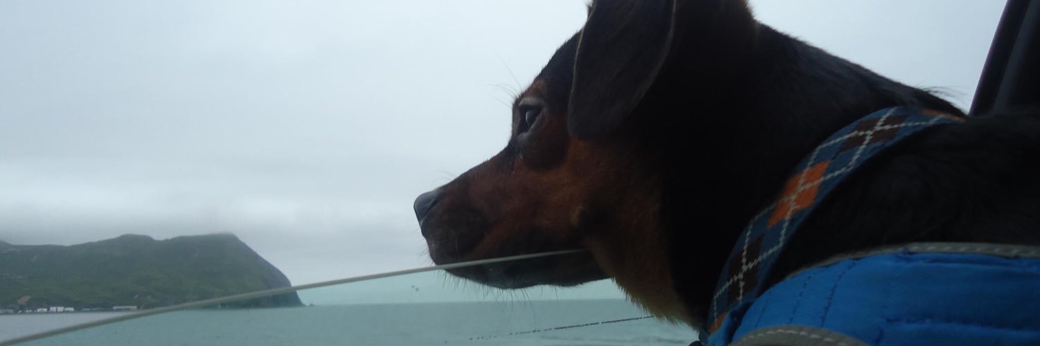 MarjaMPili's profile banner image