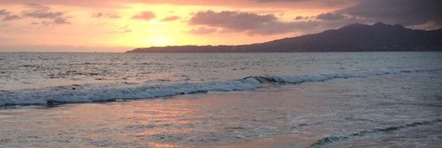 Jolene Kehler banner