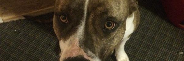 Macksal Profile Banner
