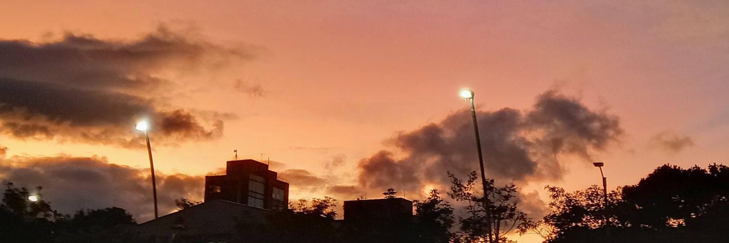 Ecabra's profile banner image
