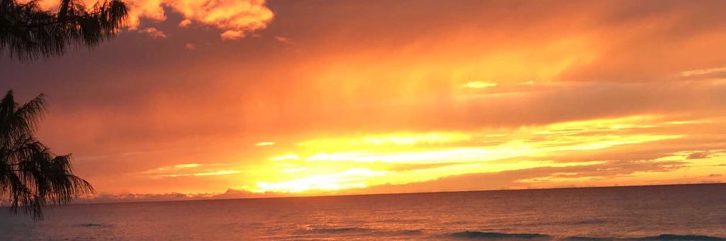 bayrian89's profile banner image