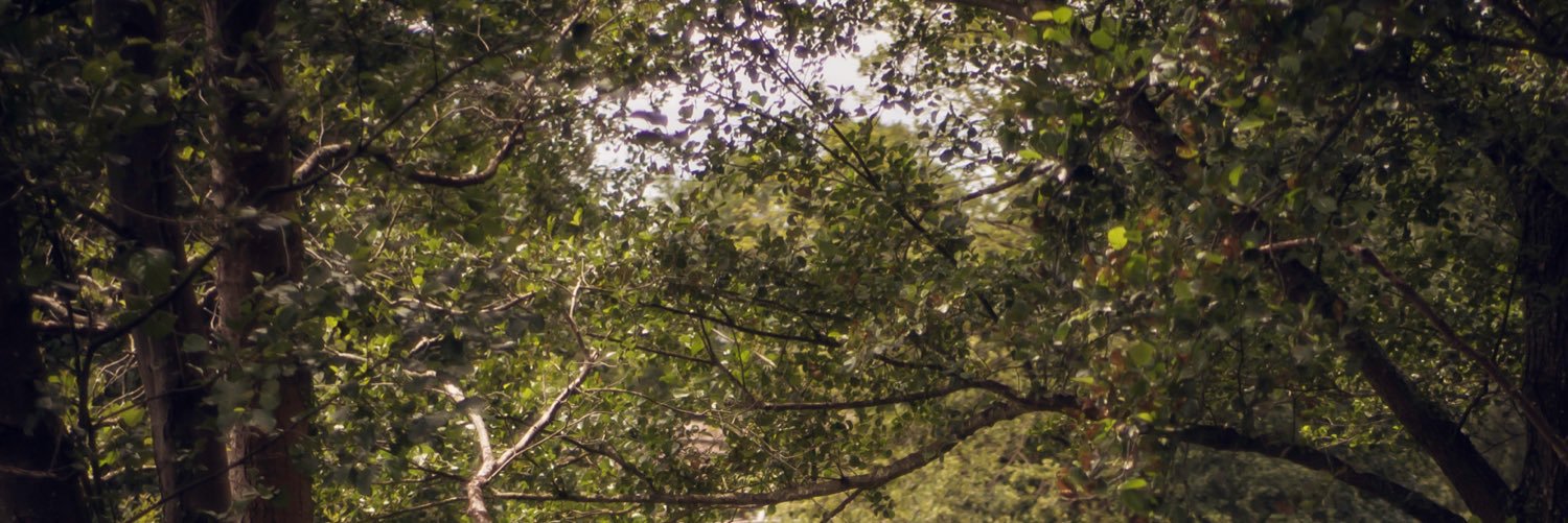 knaymaa's profile banner image