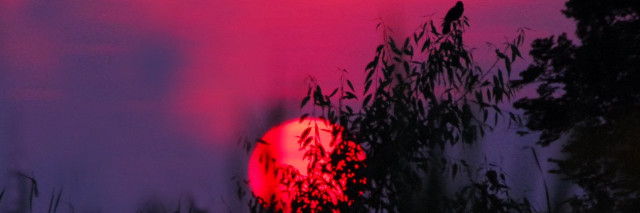 ashhlooo's profile banner image