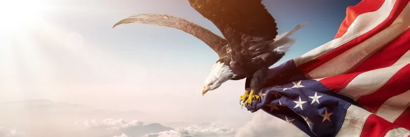 emorledge's profile banner image