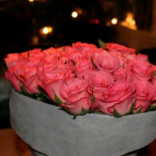 𝓘𝓷𝓭𝓲𝓻𝓪 banner