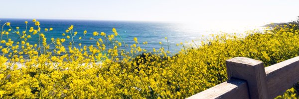 Anu_Sengupta Profile Banner