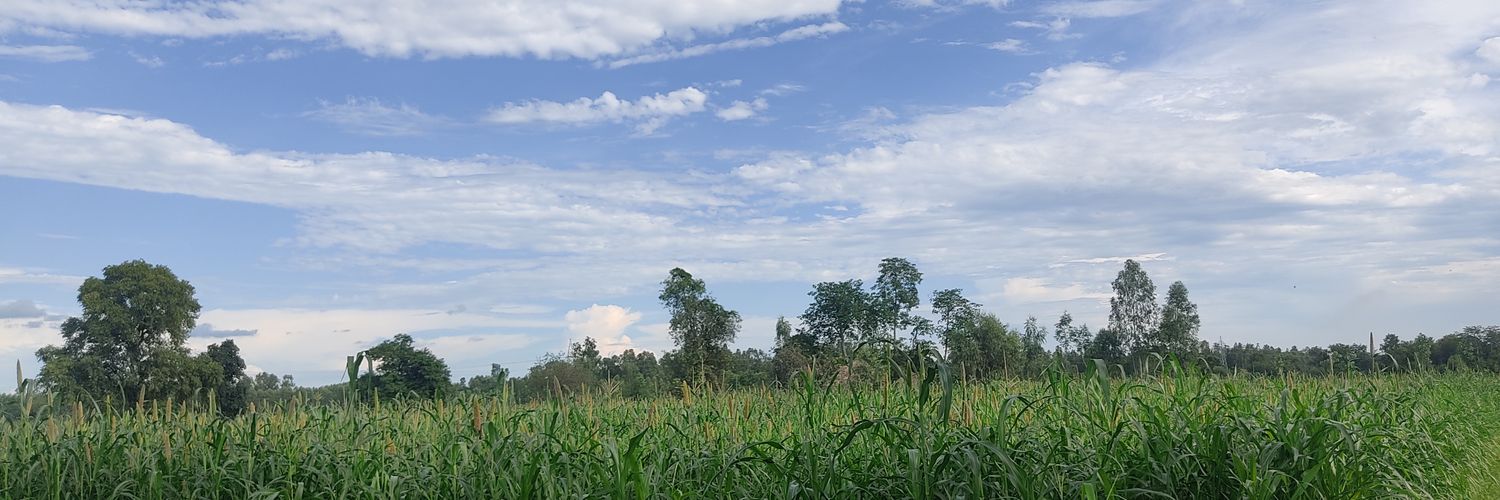 Vevolve's profile banner image