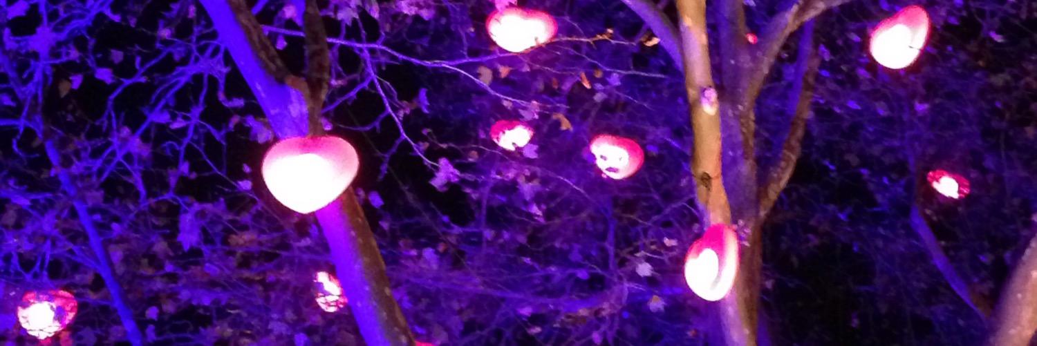carla_cq's profile banner image