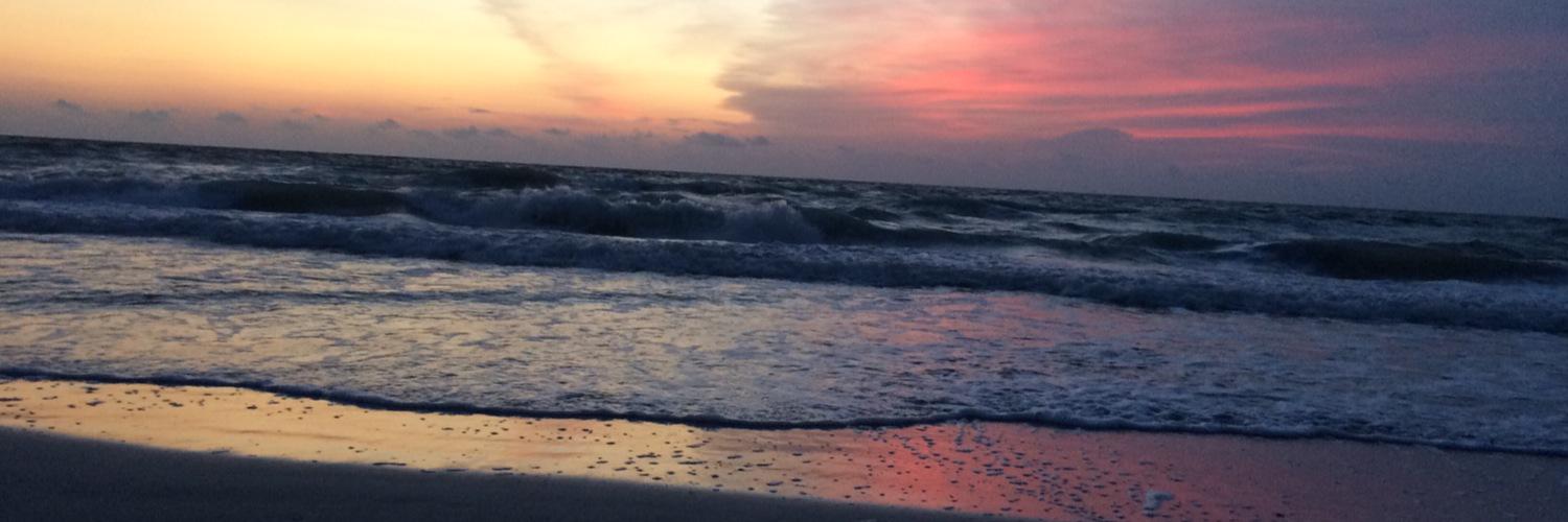 Beth Boyer Kollas banner