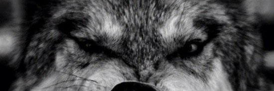 mwever85's profile banner image