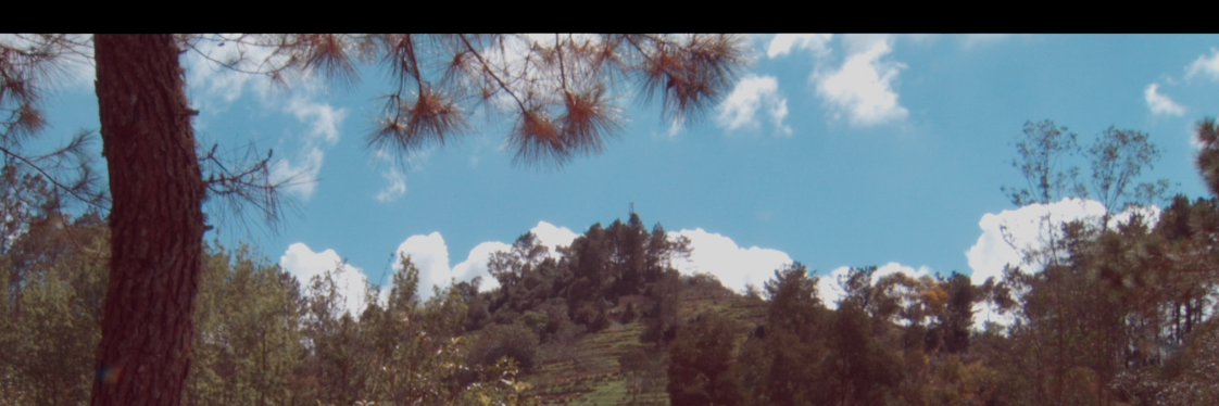 Domestique Coffee banner