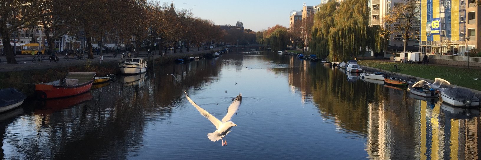 Talar Partiyan banner
