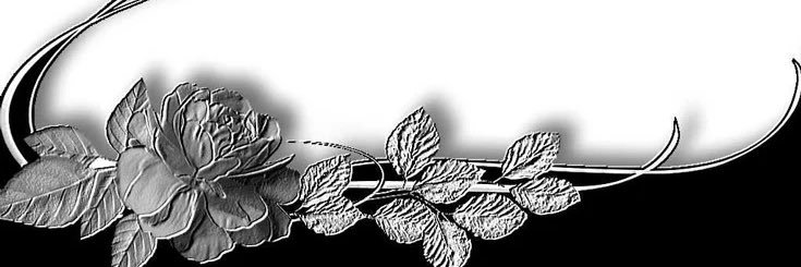 noyapping's profile banner image