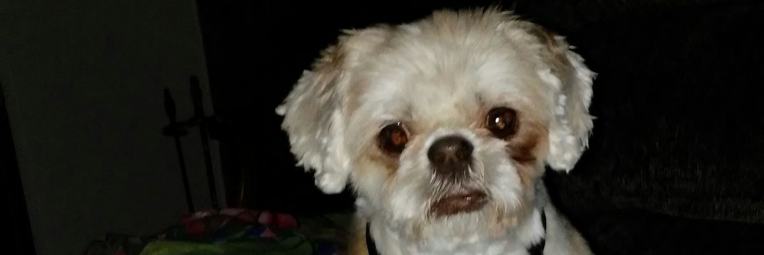MollyJean25's profile banner image