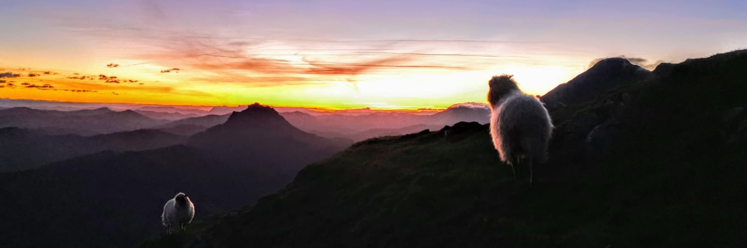 ReimaginateC's profile banner image