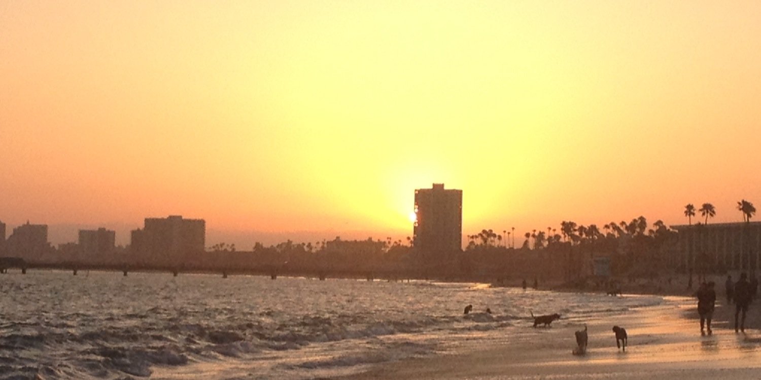 Marcella Heredia banner