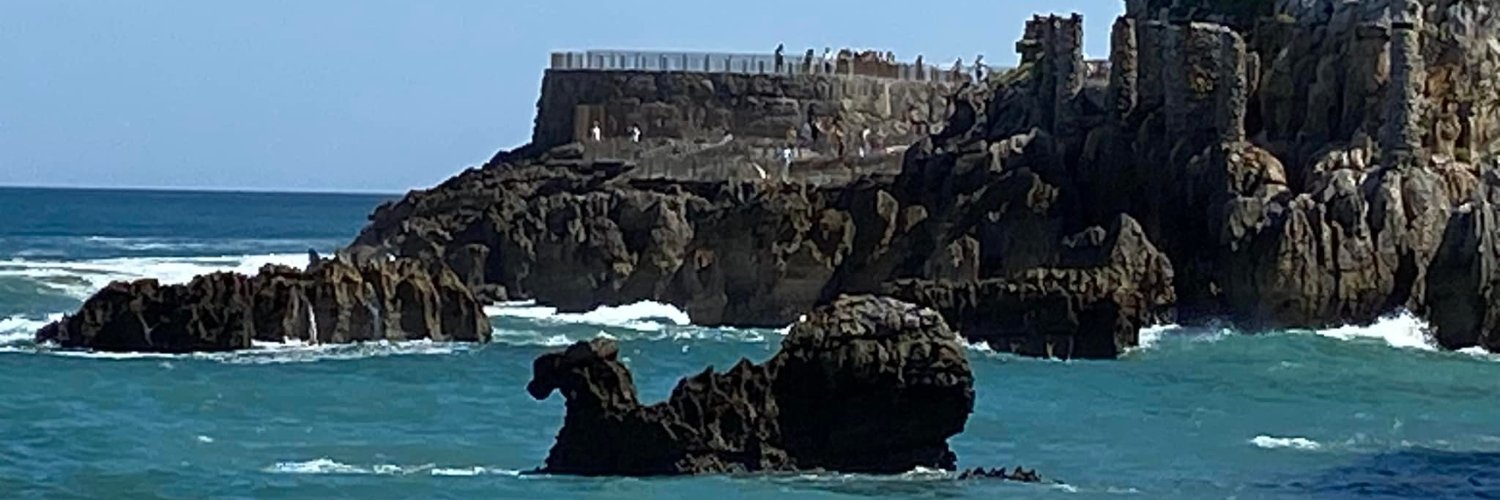 Norma Saldaña Valdés 🦋 banner