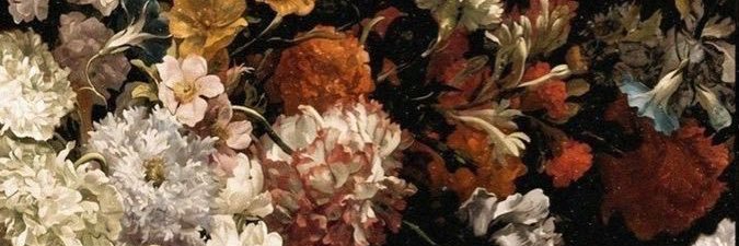 serasuin's profile banner image