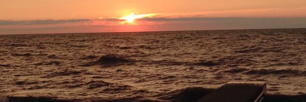 dyslexialdr Profile Banner