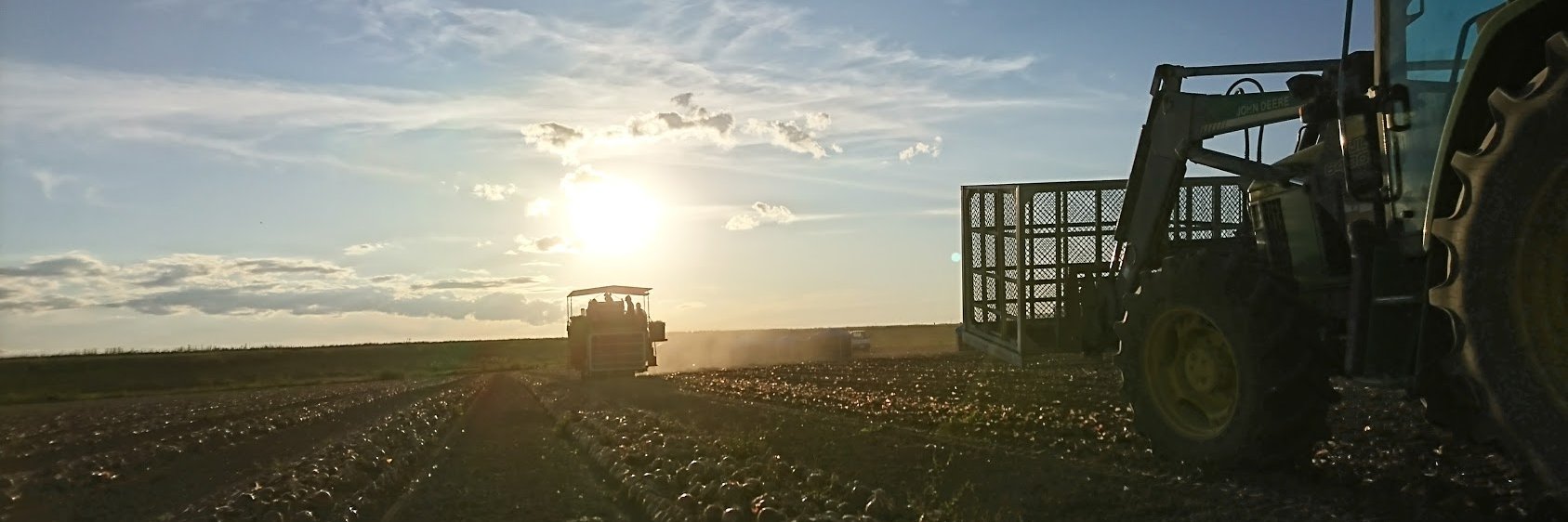 minofarm's profile banner image