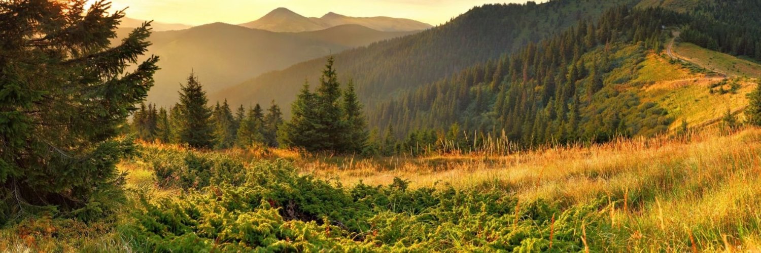 JustAnotherMan banner