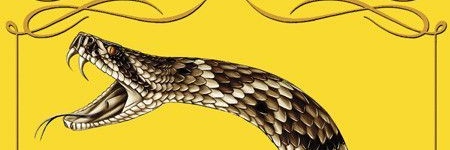 roy_zalla's profile banner image