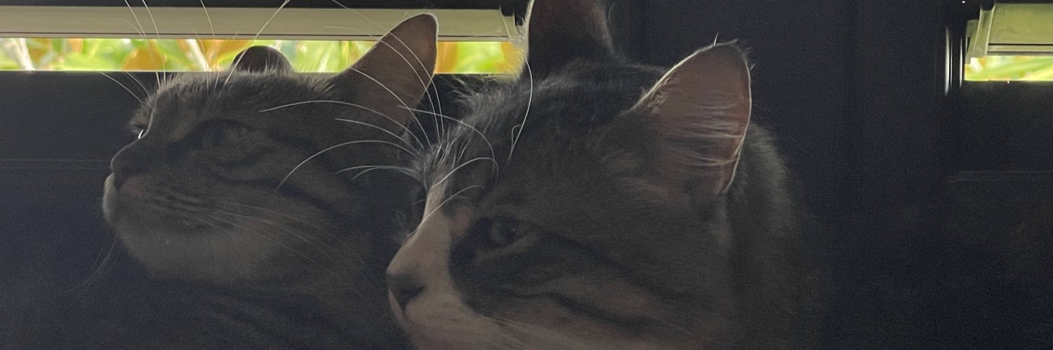 simonadepa's profile banner image