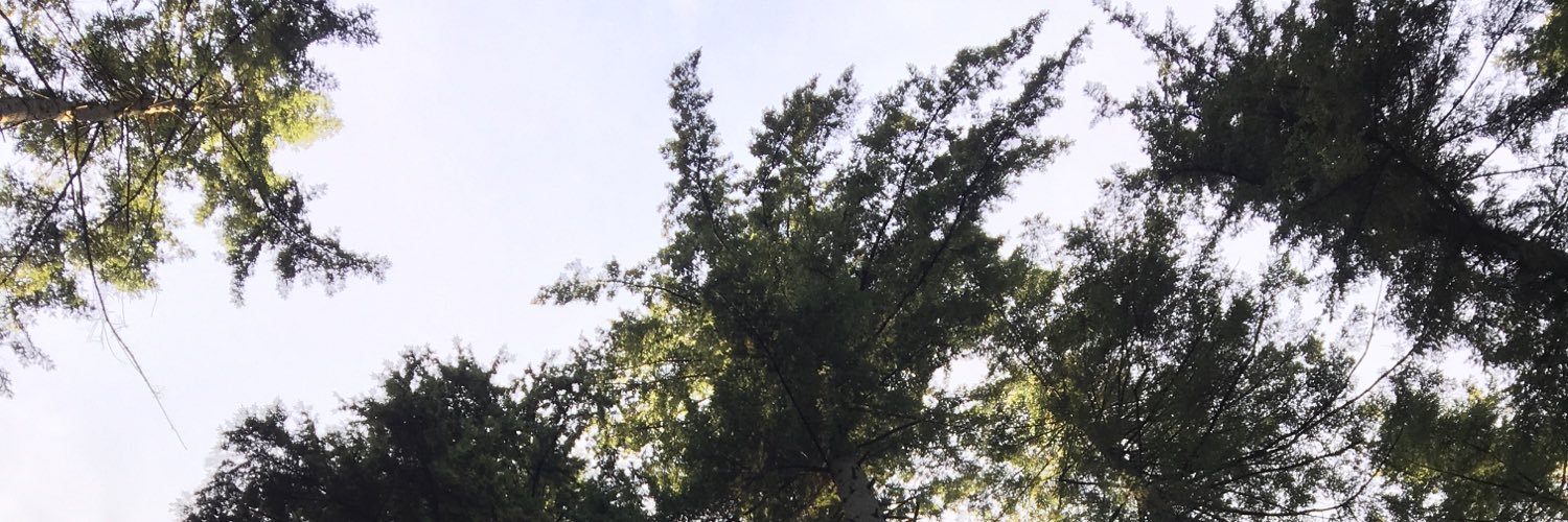 mbdc75's profile banner image