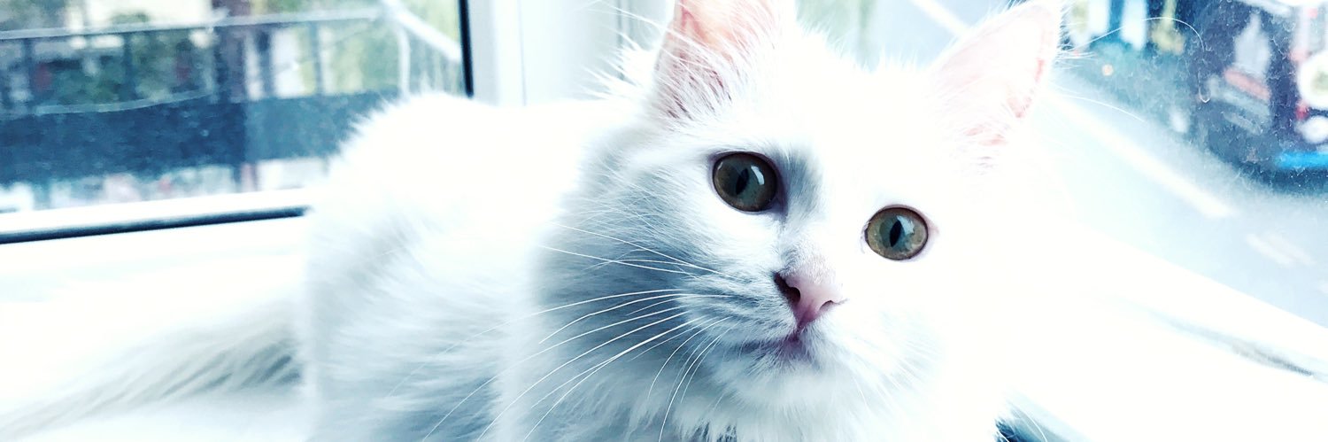 glsnmrtfb's profile banner image