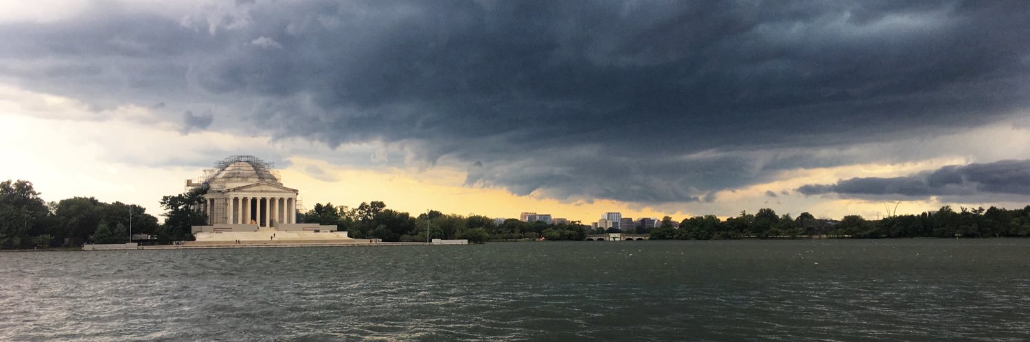 Amelia Ballinger banner