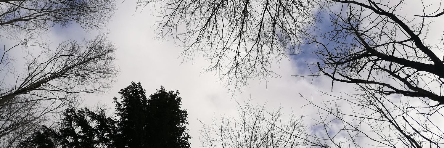 EgleTiitus's profile banner image