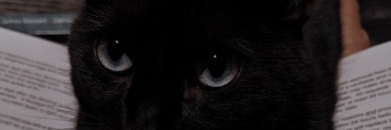 arsy banner