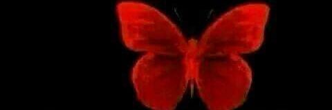 vandanashine's profile banner image
