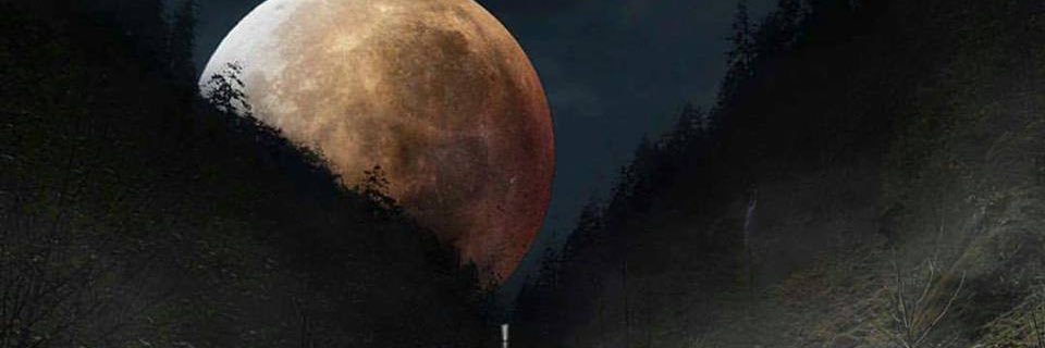 jpschaeffer's profile banner image