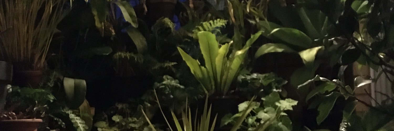 feelrealchange's profile banner image