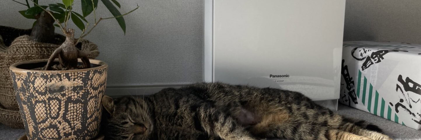 noptaku's profile banner image