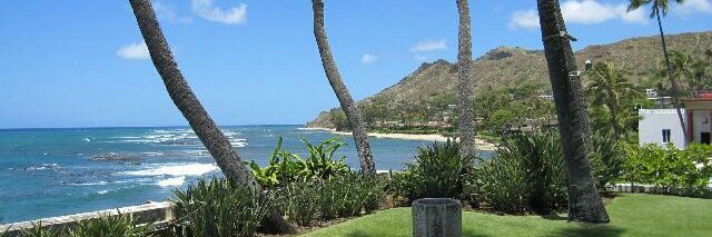 opaluwaE's profile banner image