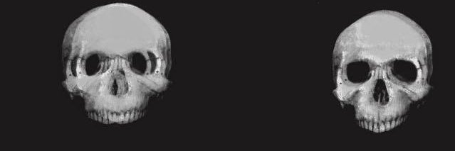 capturingashes's profile banner image