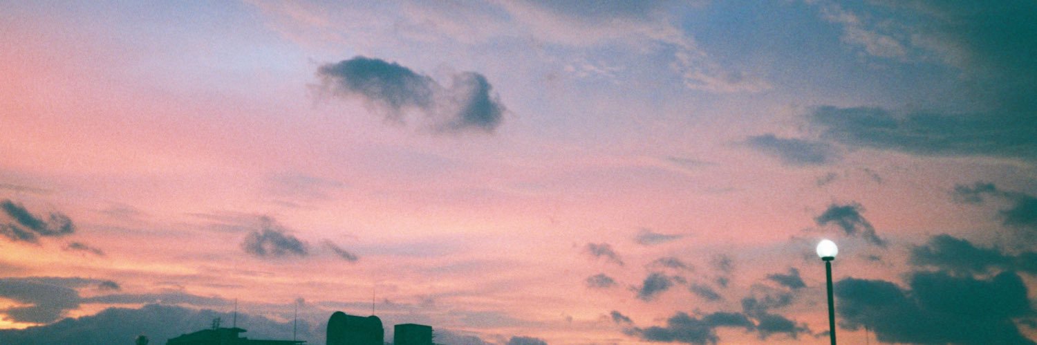 hidalinae's profile banner image