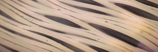 NilsvanOtterloo Profile Banner